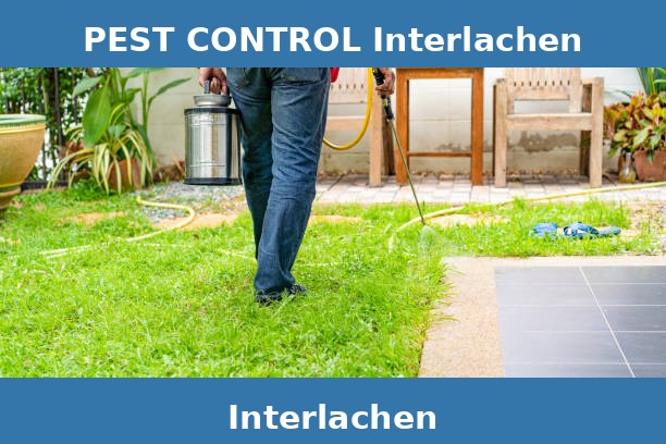 PEST CONTROL Interlachen